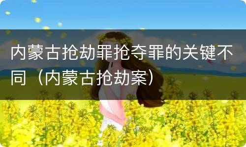 内蒙古抢劫罪抢夺罪的关键不同（内蒙古抢劫案）