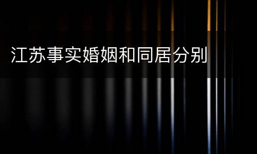 江苏事实婚姻和同居分别