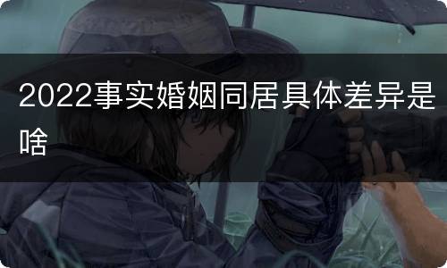 2022事实婚姻同居具体差异是啥