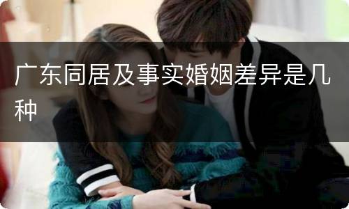 广东同居及事实婚姻差异是几种