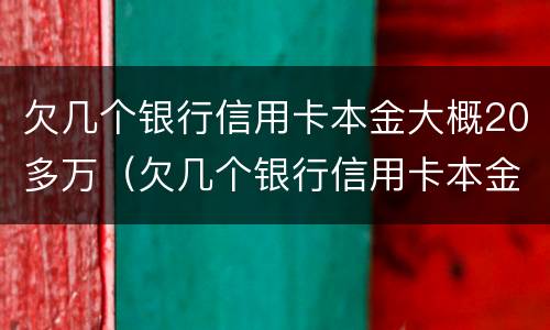 欠几个银行信用卡本金大概20多万（欠几个银行信用卡本金大概20多万元）