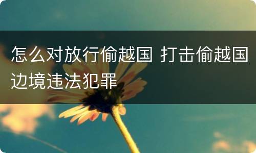 怎么对放行偷越国 打击偷越国边境违法犯罪