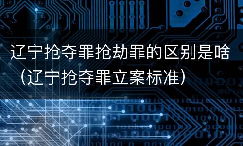 辽宁抢夺罪抢劫罪的区别是啥（辽宁抢夺罪立案标准）