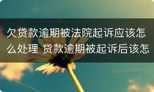 欠贷款逾期被法院起诉应该怎么处理 贷款逾期被起诉后该怎么做
