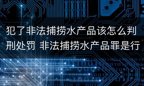 犯了非法捕捞水产品该怎么判刑处罚 非法捕捞水产品罪是行为犯吗