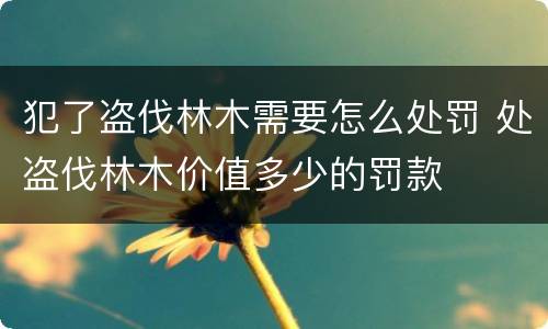 犯了盗伐林木需要怎么处罚 处盗伐林木价值多少的罚款