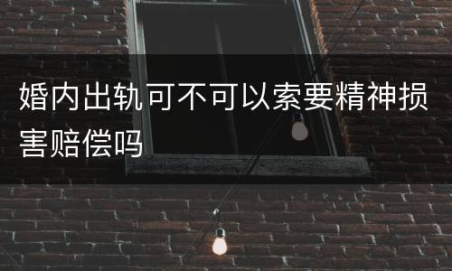 婚内出轨可不可以索要精神损害赔偿吗