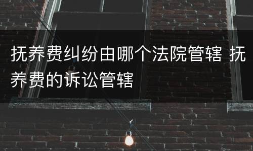 抚养费纠纷由哪个法院管辖 抚养费的诉讼管辖