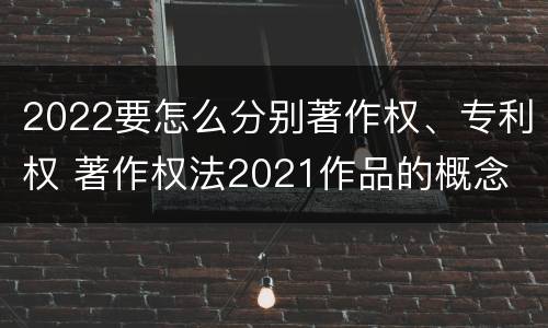 2022要怎么分别著作权、专利权 著作权法2021作品的概念