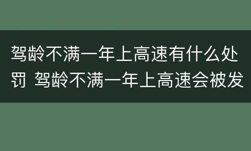 驾龄不满一年上高速有什么处罚 驾龄不满一年上高速会被发现吗