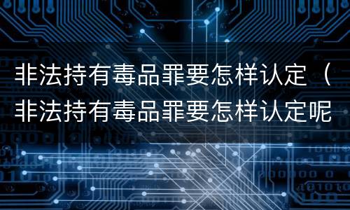 非法持有毒品罪要怎样认定（非法持有毒品罪要怎样认定呢）