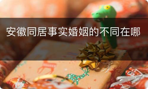 安徽同居事实婚姻的不同在哪