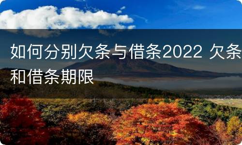 如何分别欠条与借条2022 欠条和借条期限