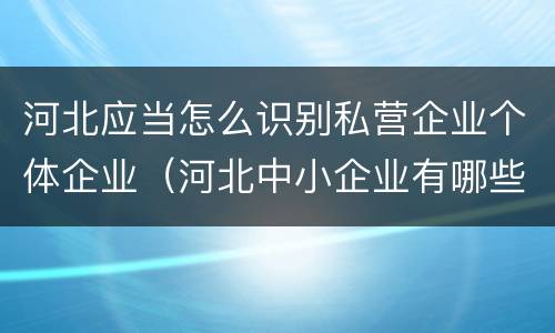 河北应当怎么识别私营企业个体企业（河北中小企业有哪些）