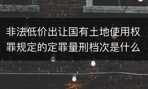 非法低价出让国有土地使用权罪规定的定罪量刑档次是什么