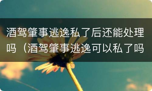 酒驾肇事逃逸私了后还能处理吗（酒驾肇事逃逸可以私了吗）