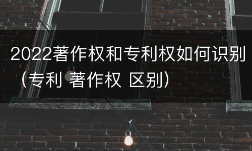 2022著作权和专利权如何识别（专利 著作权 区别）