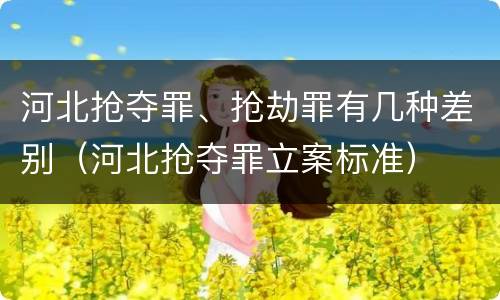 河北抢夺罪、抢劫罪有几种差别（河北抢夺罪立案标准）