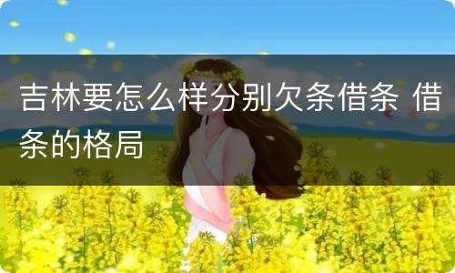 吉林要怎么样分别欠条借条 借条的格局