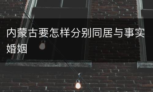 内蒙古要怎样分别同居与事实婚姻