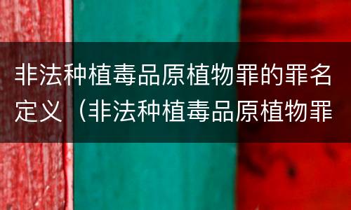 非法种植毒品原植物罪的罪名定义（非法种植毒品原植物罪情节严重的三种情形是什么）