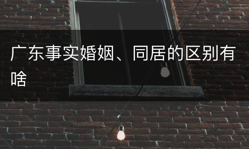 广东事实婚姻、同居的区别有啥