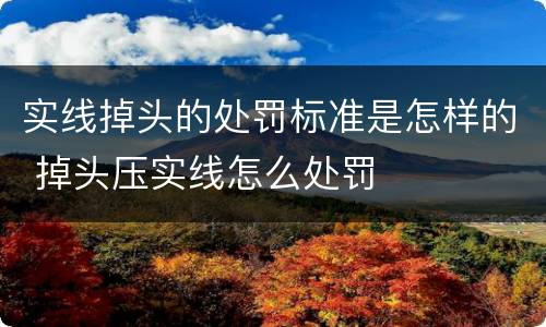 实线掉头的处罚标准是怎样的 掉头压实线怎么处罚