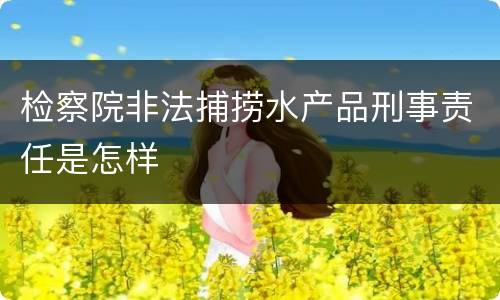 检察院非法捕捞水产品刑事责任是怎样