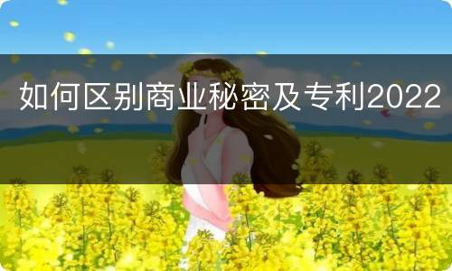 如何区别商业秘密及专利2022