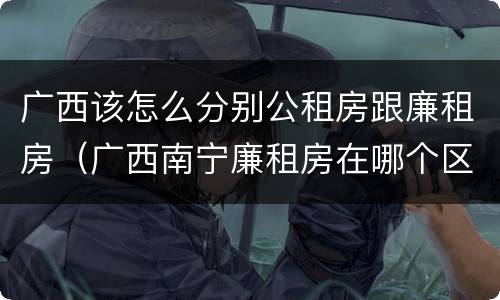 广西该怎么分别公租房跟廉租房（广西南宁廉租房在哪个区域）