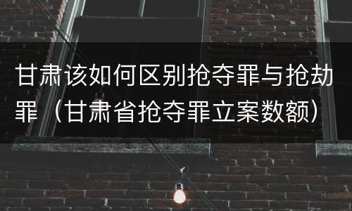 甘肃该如何区别抢夺罪与抢劫罪（甘肃省抢夺罪立案数额）