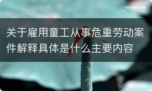 关于雇用童工从事危重劳动案件解释具体是什么主要内容
