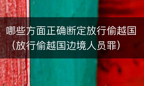 哪些方面正确断定放行偷越国（放行偷越国边境人员罪）