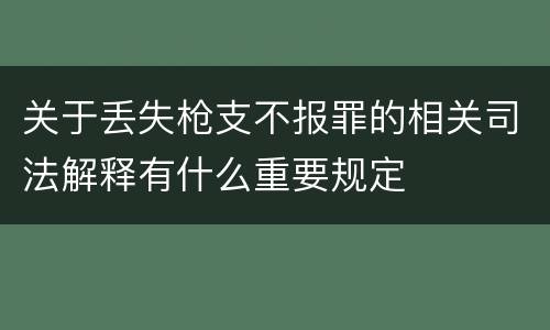 关于丢失枪支不报罪的相关司法解释有什么重要规定