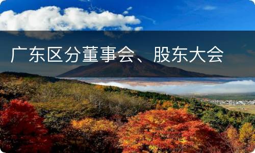 广东区分董事会、股东大会