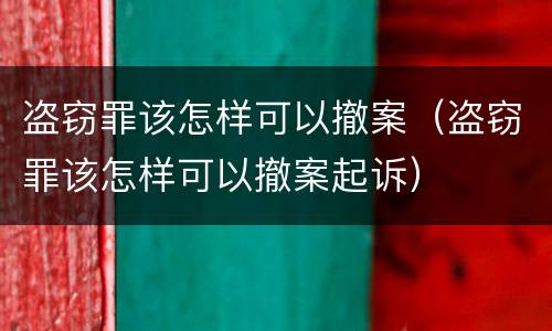 盗窃罪该怎样可以撤案（盗窃罪该怎样可以撤案起诉）
