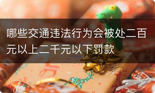 哪些交通违法行为会被处二百元以上二千元以下罚款