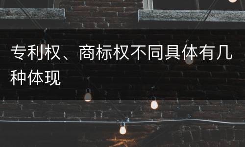 专利权、商标权不同具体有几种体现