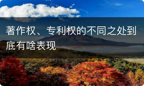 著作权、专利权的不同之处到底有啥表现