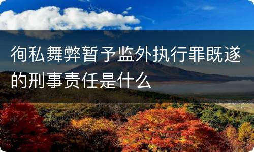 徇私舞弊暂予监外执行罪既遂的刑事责任是什么