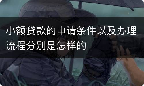 小额贷款的申请条件以及办理流程分别是怎样的
