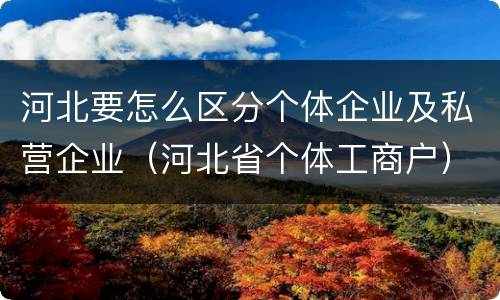 河北要怎么区分个体企业及私营企业（河北省个体工商户）