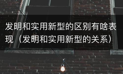 发明和实用新型的区别有啥表现（发明和实用新型的关系）