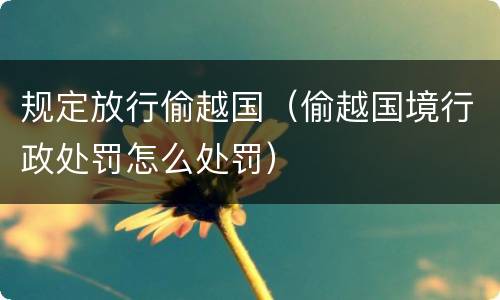规定放行偷越国（偷越国境行政处罚怎么处罚）