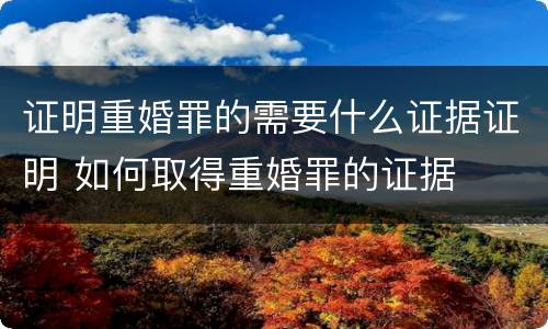 证明重婚罪的需要什么证据证明 如何取得重婚罪的证据