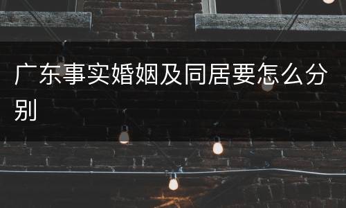 广东事实婚姻及同居要怎么分别