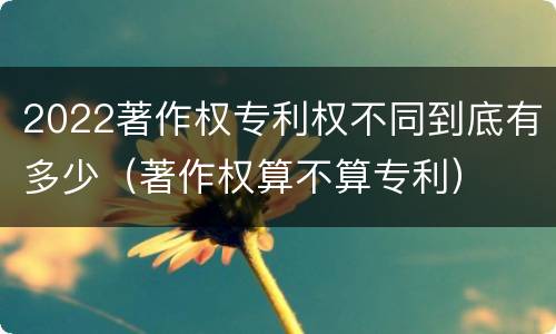 2022著作权专利权不同到底有多少（著作权算不算专利）