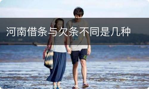 河南借条与欠条不同是几种