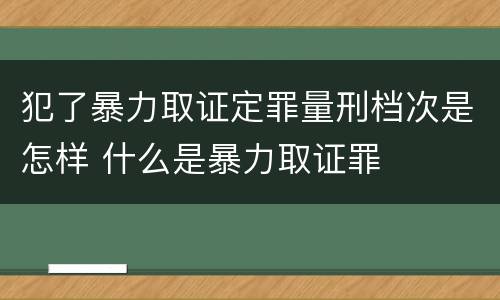 犯了暴力取证定罪量刑档次是怎样 什么是暴力取证罪