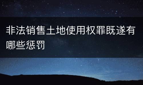 非法销售土地使用权罪既遂有哪些惩罚